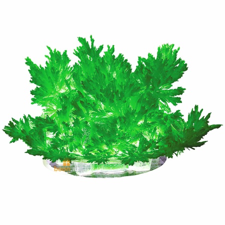 Набор для выращивания лучистых кристаллов «Зеленый кристалл»